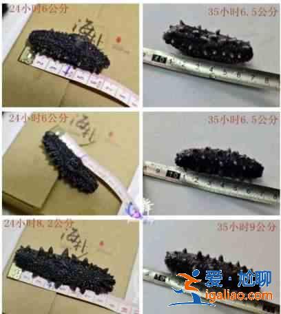 海参怎么发？？