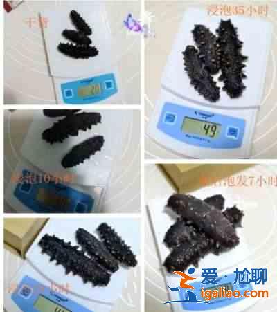 海参怎么发？？