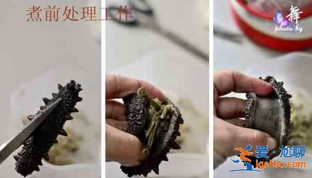 海参怎么发？？
