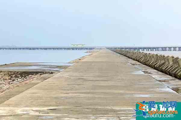 上海金山城市沙滩开放时间？