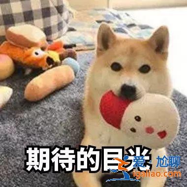 沙雕社会新闻扯出女星前女友？