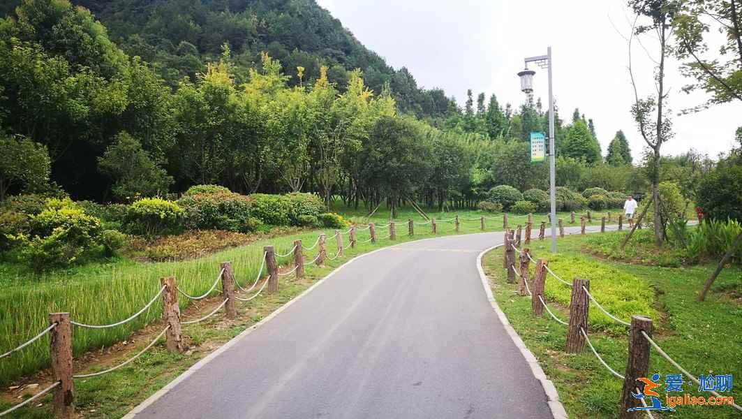 贵阳哪里可以踏青，贵阳踏青去哪里，贵阳踏青路线指南？