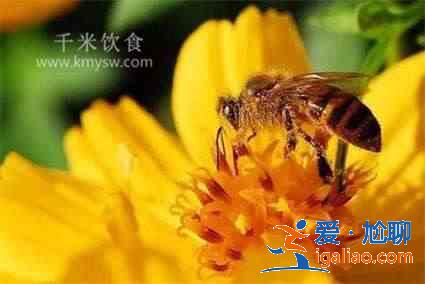 哪些花蜜属温性哪些属凉性？？