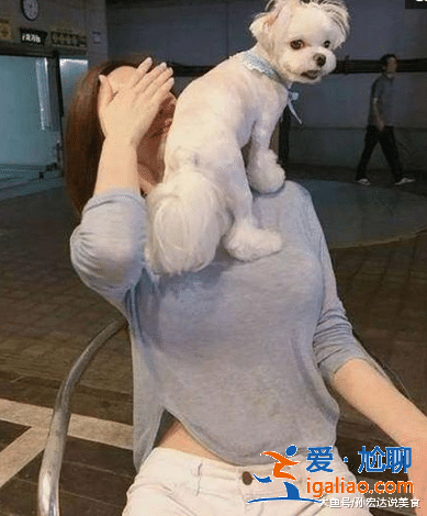 “母子恋”修成正果,男女2人相差17岁,当看到女方身材时,简直了 “母子恋”修成正果,男女2人相差17岁,当看到女方身材时,简直了