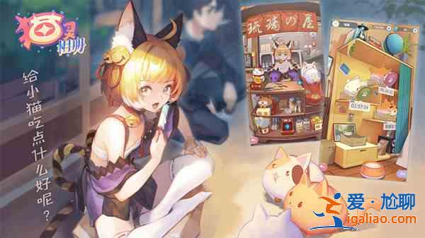 猫灵相册礼包兑换码大全 公测兑换码取件码获取与使用方法？