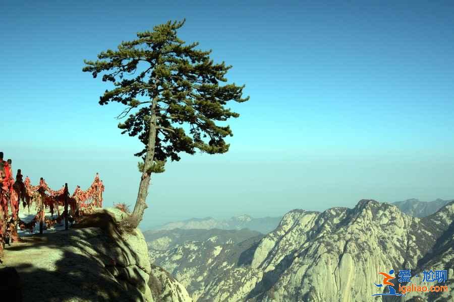 华山有什么好玩的？华山有什么景点？华山旅游攻略？