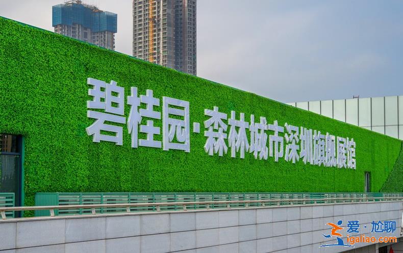 撤销评级意味着什么？碧桂园目前现状如何它的房子现在还能买吗？