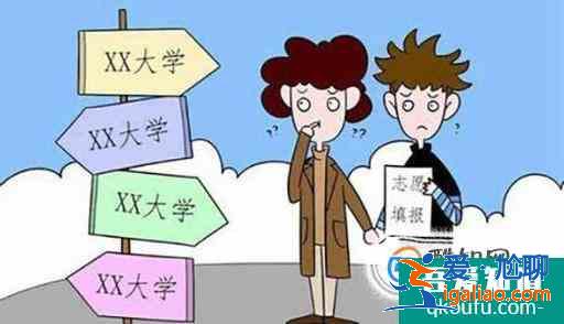 高考报志愿技巧？