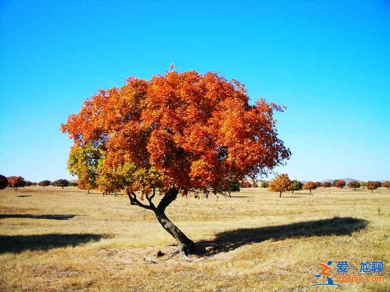 【中秋节去哪里玩】2018中秋节去哪里玩，中秋节去哪里玩推荐？