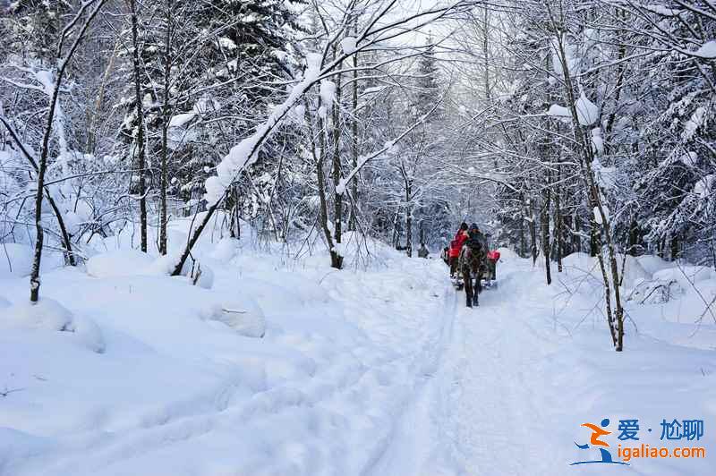 国内1月下雪的地方，国内一月有雪的地方？