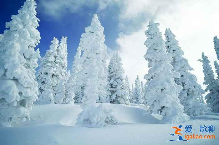 国内1月下雪的地方，国内一月有雪的地方？
