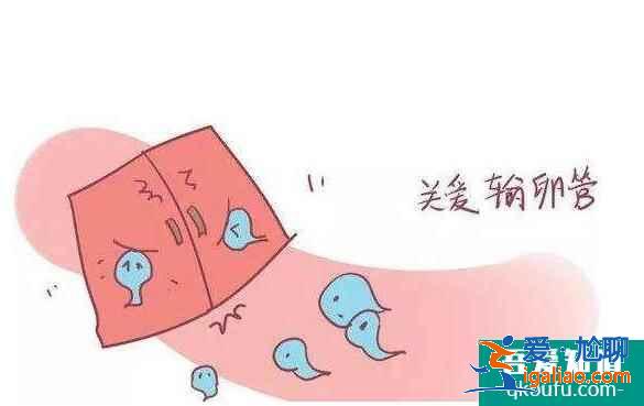 输卵管积水还能做试管婴儿吗？是否会对试管成功率有影响？？