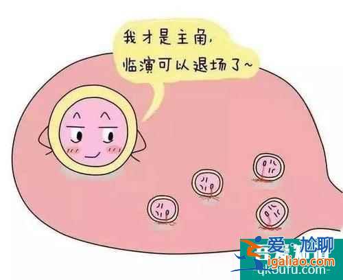 试管婴儿取卵越多越好吗？？