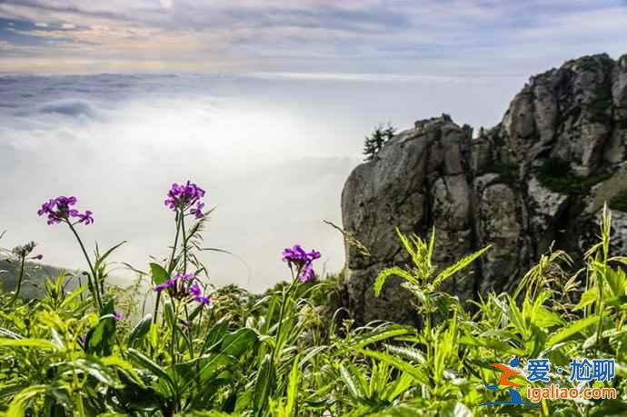 北京怎么去雾灵山，2019端午节去雾灵山好吗？