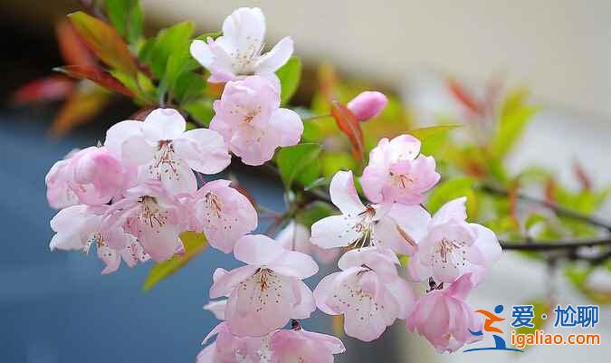 【清明节北京天气】2018年清明节北京天气，清明节北京穿什么？