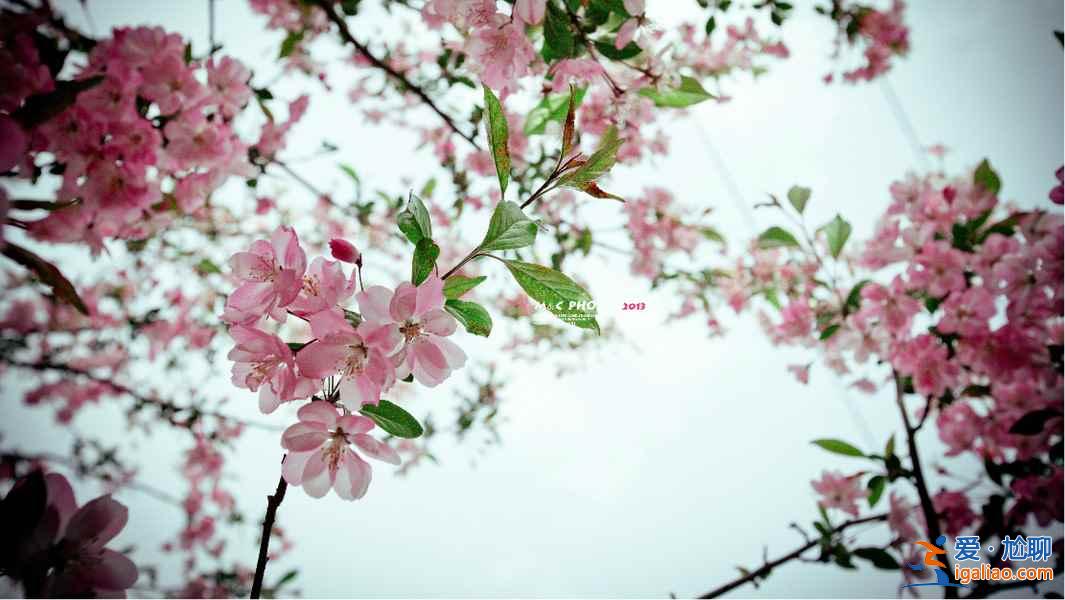 【清明节北京天气】2018年清明节北京天气，清明节北京穿什么？