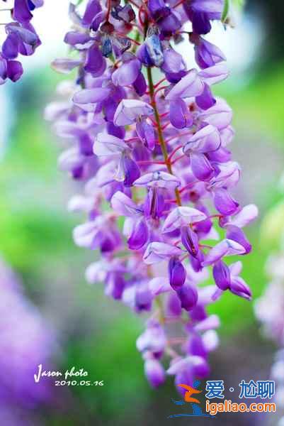 【清明节北京天气】2018年清明节北京天气，清明节北京穿什么？