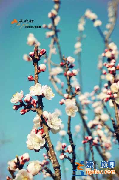 【清明节北京天气】2018年清明节北京天气，清明节北京穿什么？
