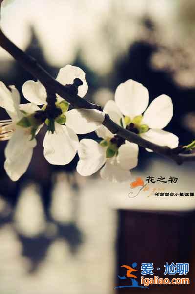 【清明节北京天气】2018年清明节北京天气，清明节北京穿什么？