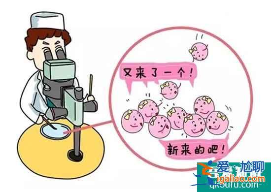 试管婴儿周期阶段是怎么来划分的？？