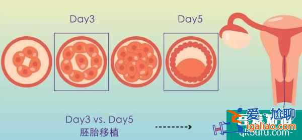 试管婴儿：用一个试管周期成就一生求子心愿？