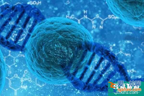 去做试管婴儿，6个参考标准助您选择正确的医院？