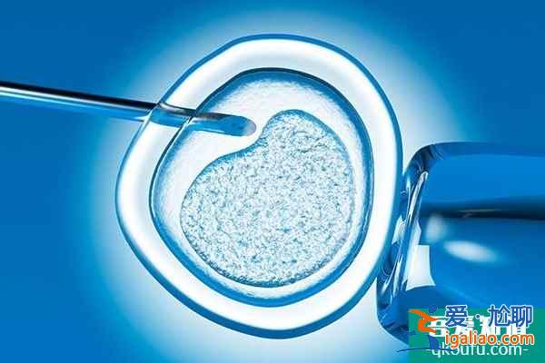 试管婴儿：用一个试管周期成就一生求子心愿？