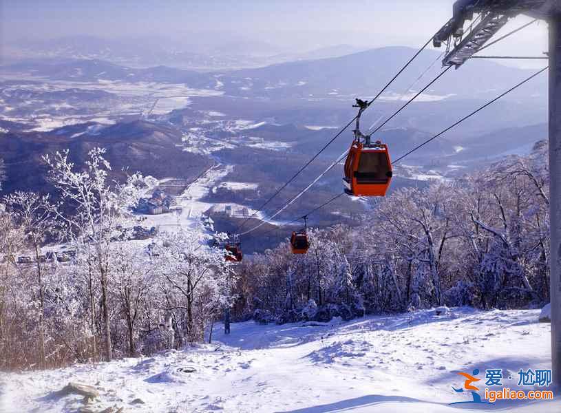 冬季旅游，国内十大冰雪地推荐！？