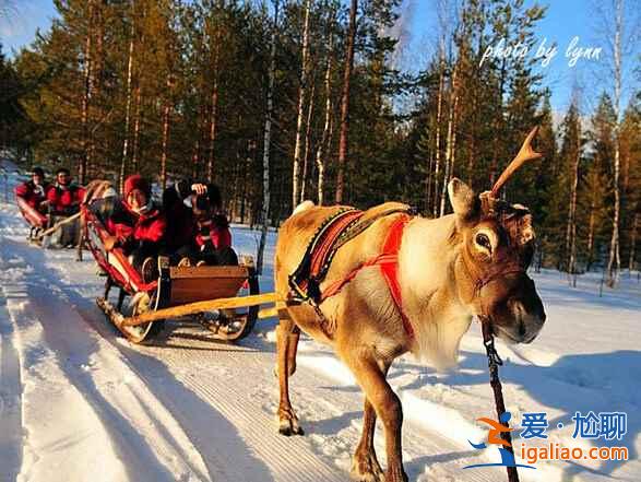 冬季旅游，国内十大冰雪地推荐！？