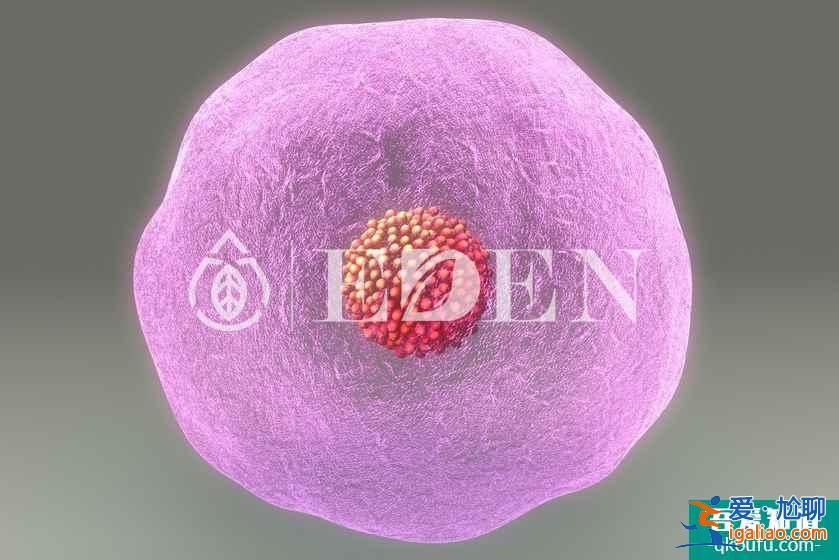 分享试管婴儿用药小常识：赴美前为何吃避孕药？