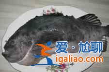 海参斑鱼的做法？