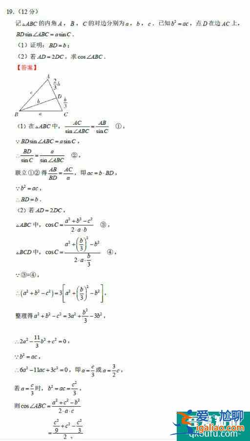 2021年全国新高考1卷数学试题及答案详解！？