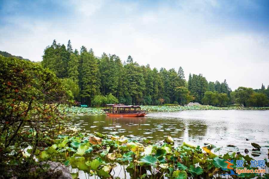 无锡赏花时间表，从春美到冬？