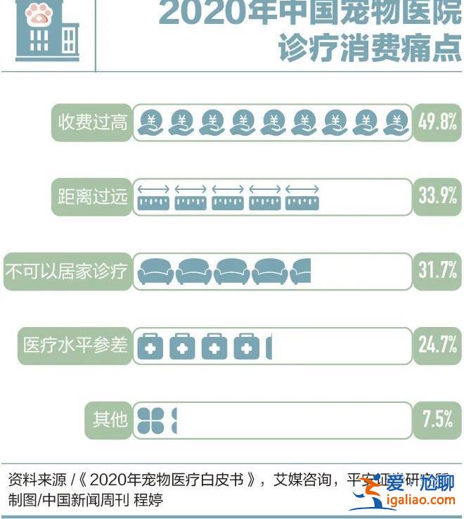 因为看病贵 他们放弃了自己的宠物？