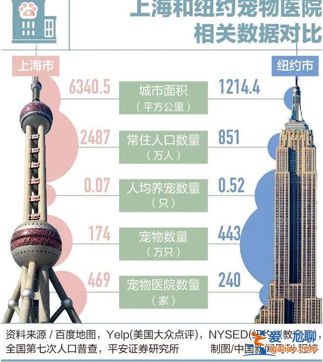 因为看病贵 他们放弃了自己的宠物？