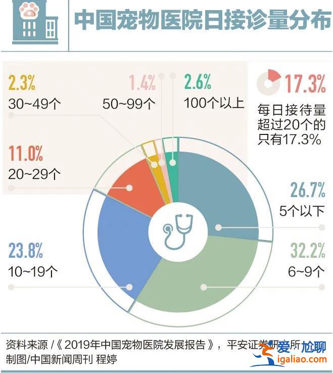 因为看病贵 他们放弃了自己的宠物？