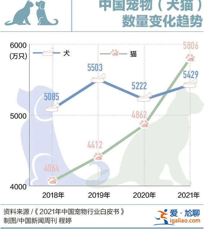 因为看病贵 他们放弃了自己的宠物？