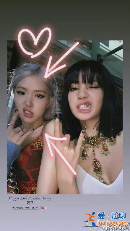 Lisa晒合照为朴彩英庆生  朴彩英个人资料介绍