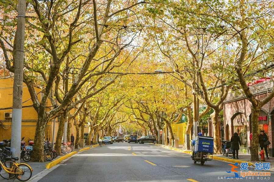 上海周末徒步路线，上海周末徒步好地方？