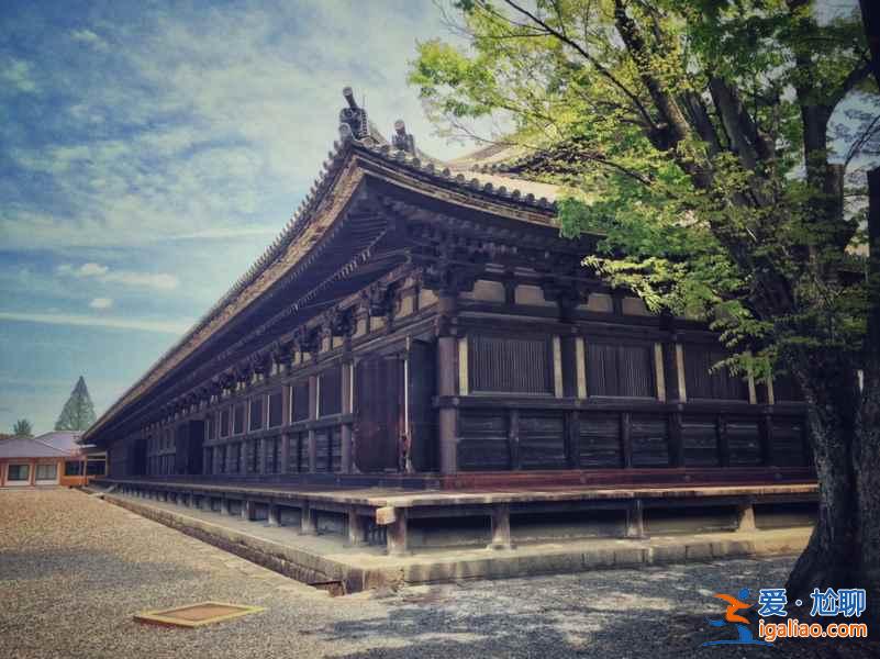新一小兰修学旅行地点是哪？朝圣怎么玩？柯南特别篇新兰发糖正式确认关系！？