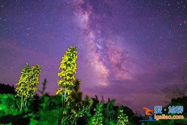 北京周边看星星的地方，最美星空就在你身边？