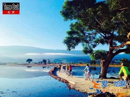 【台湾环岛骑行不是梦】“铁路+铁马”车轮上环游宝岛？