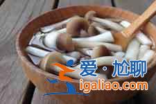 菌菇汤的做法？