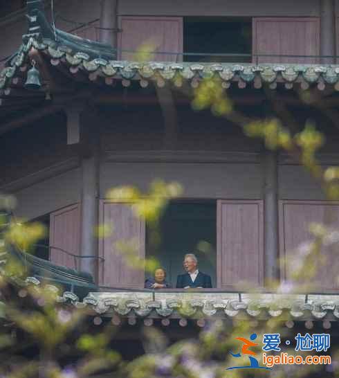 【六和塔重新开放】牡丹盛开喜迎客？