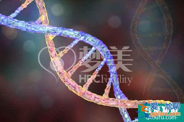 40岁+女性健康生育之路—试管婴儿？