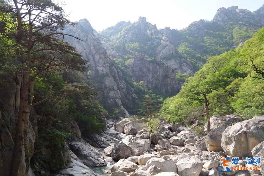 游客实拍：朝鲜平壤、元山、开城、板门店？