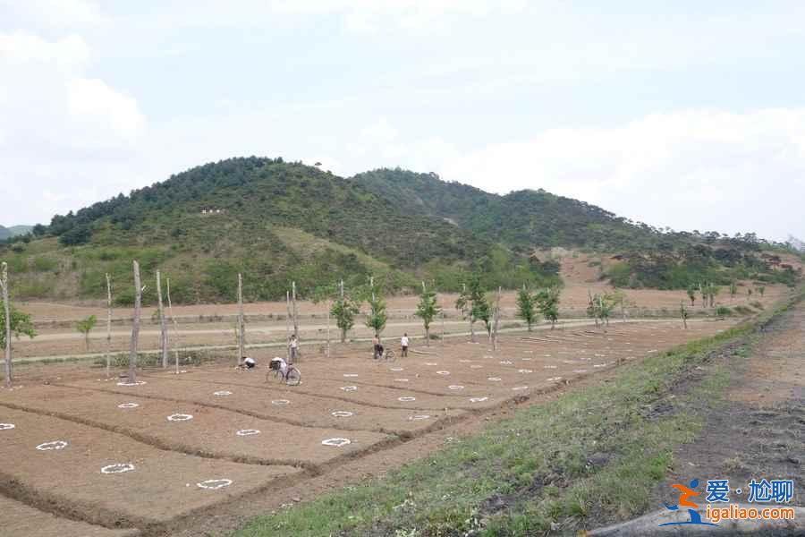 游客实拍：朝鲜平壤、元山、开城、板门店？