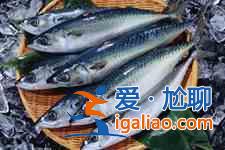 鲅鱼饺子的做法？