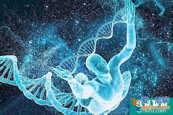 为何越来越多的难孕育者青睐赴美做试管婴儿？？