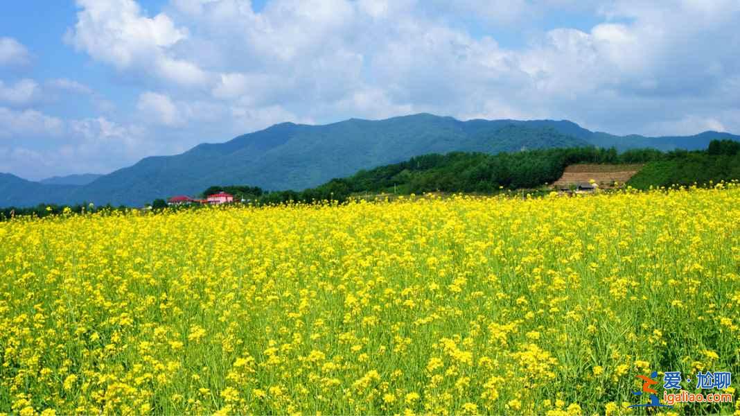 中国北方最美的隐世桃源：丹东绿江村？